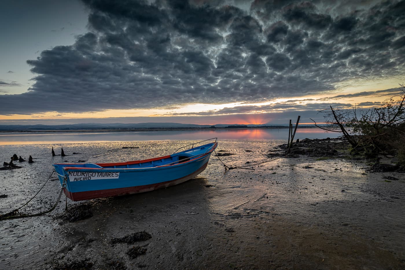 Portugal VIII