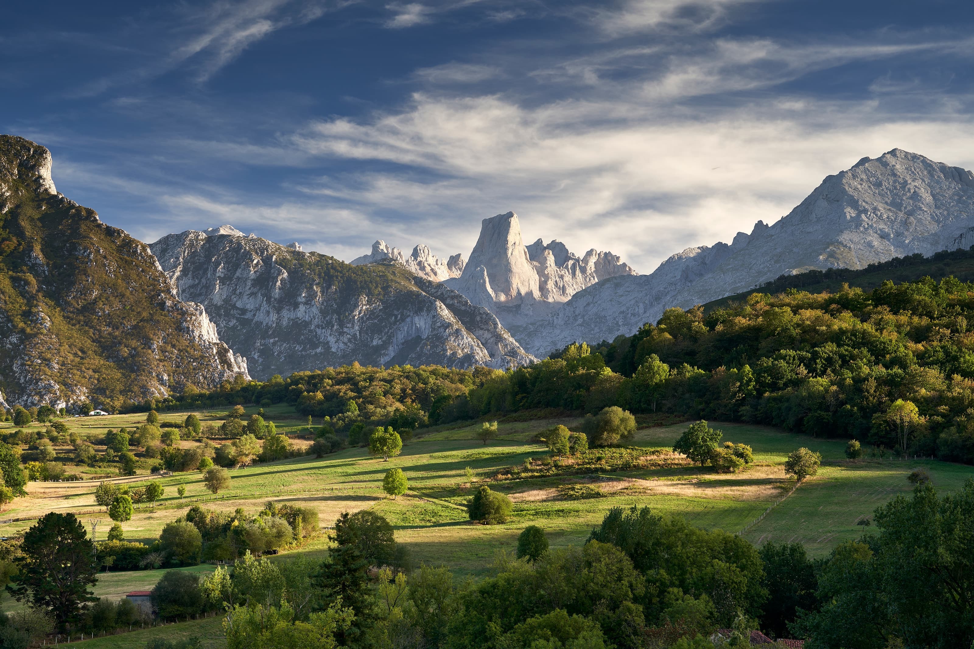 Naranjo de Bulnes